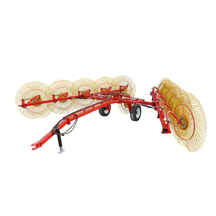 Hörotarisk rake